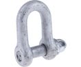 Shackle, D, Screw Pin, 2.5t, Stainless Steel
